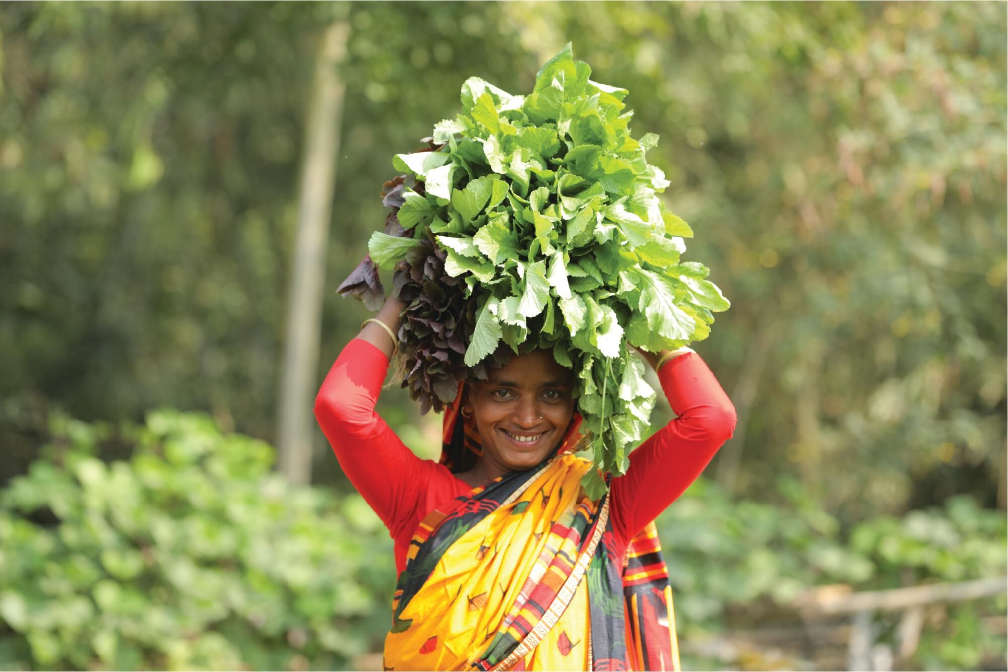 Lady in Bangladesh holding crops on her head