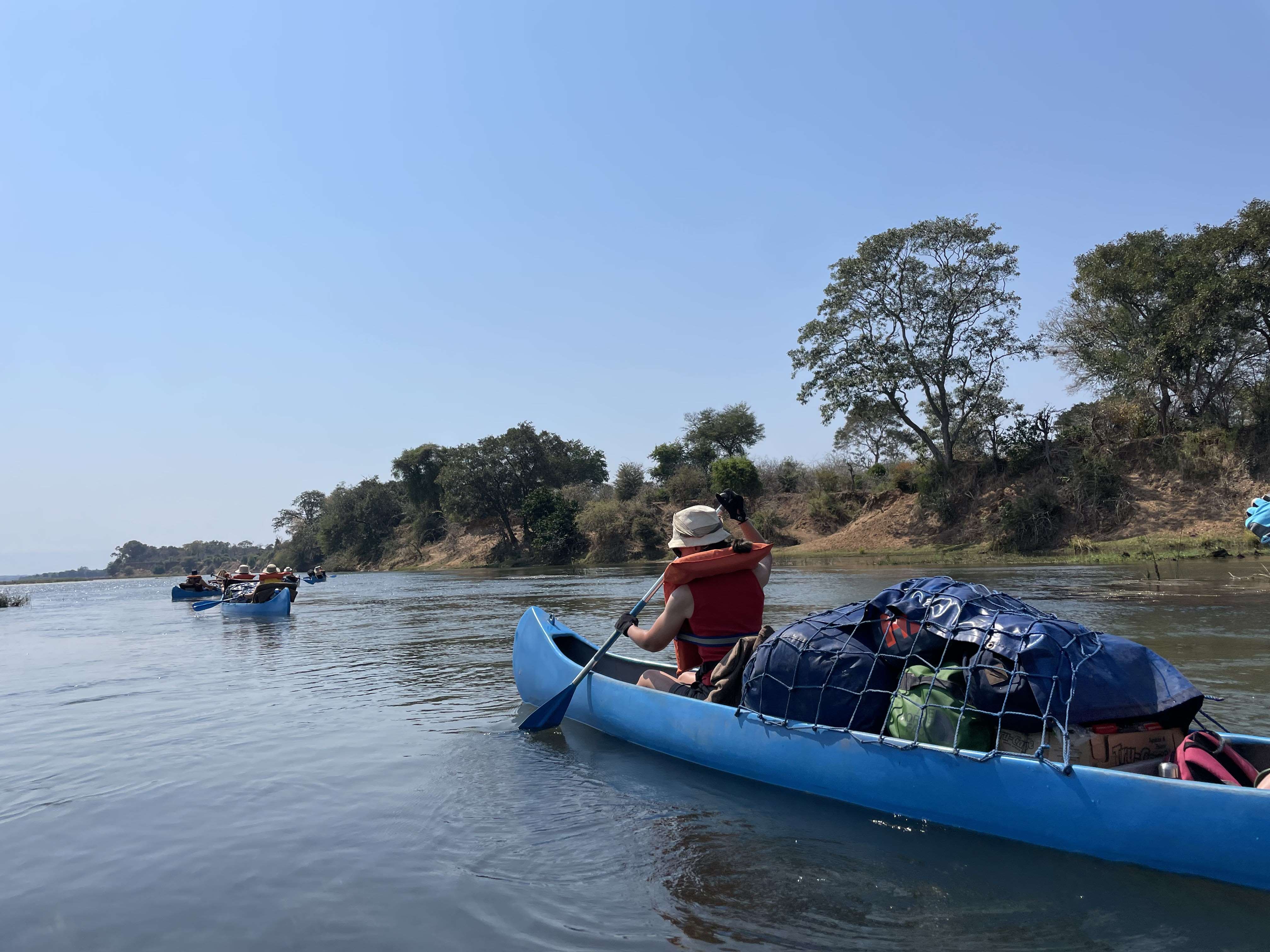 Canoes travel up the Zambezi river