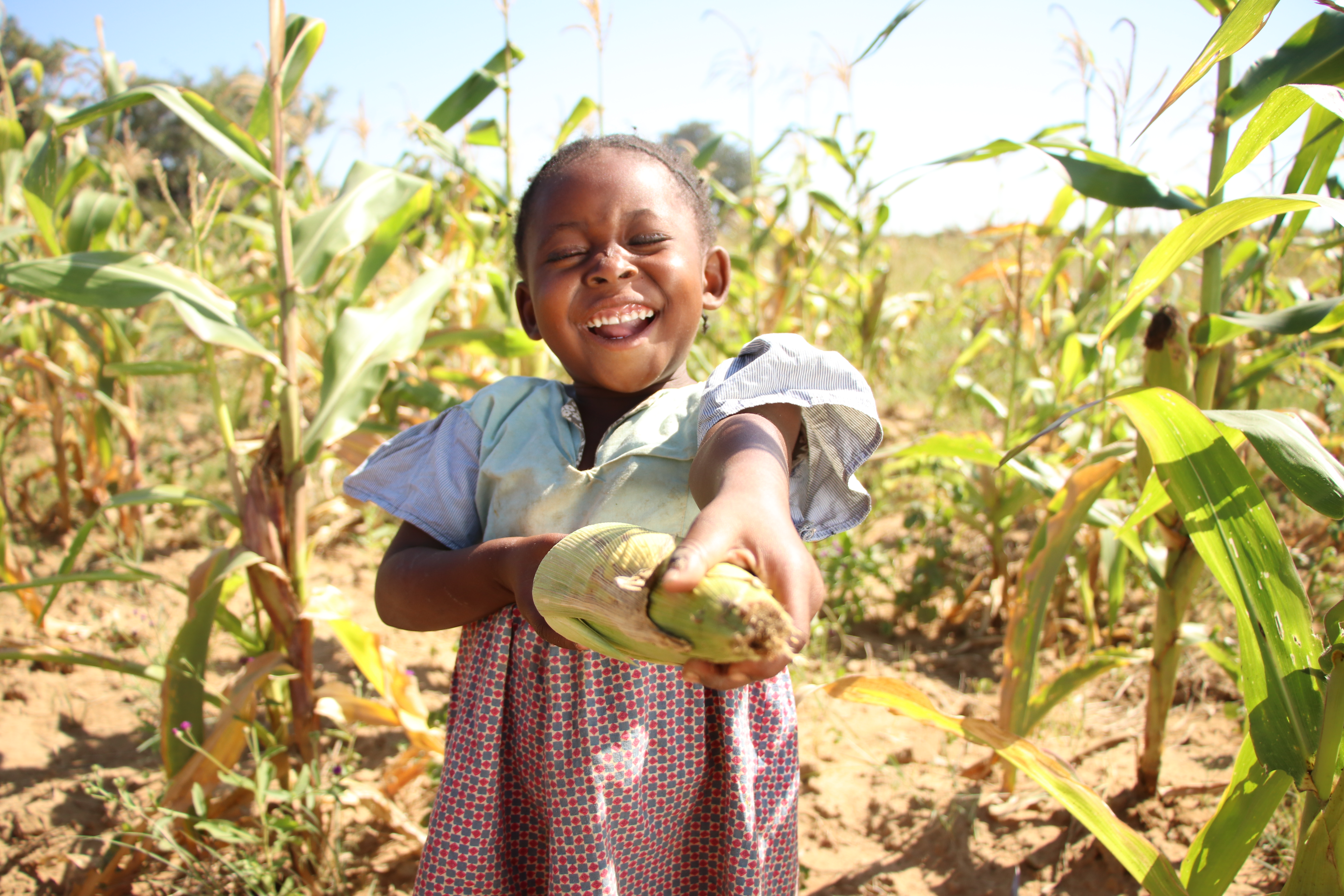 Young girl from Zambia holding a fresh corn and smiling with a corn field behind her