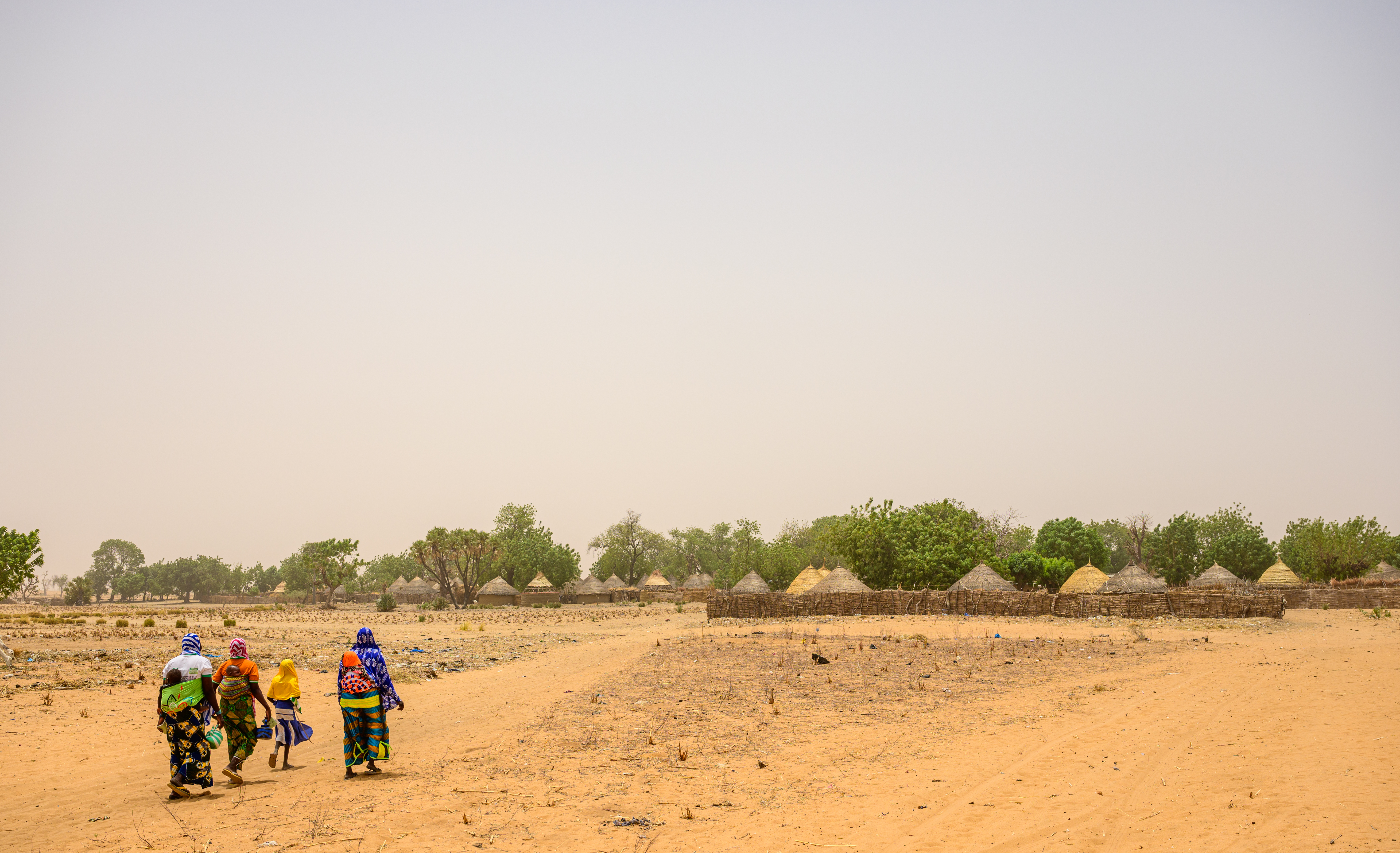 Four people walk across a sandy landscape in Niger