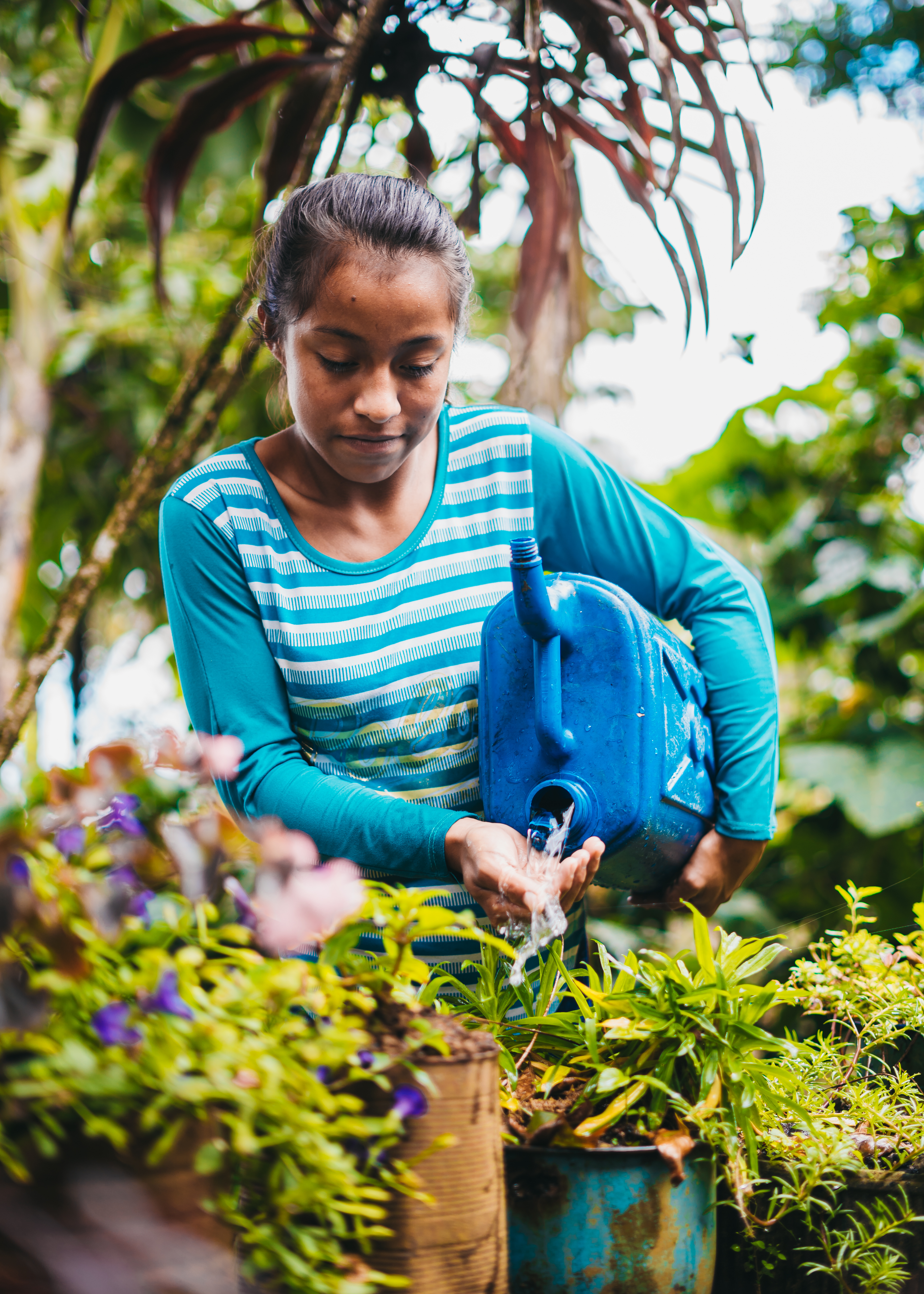 A teenage girl tipping up a watering can, watering plants outside with fresh clean water.