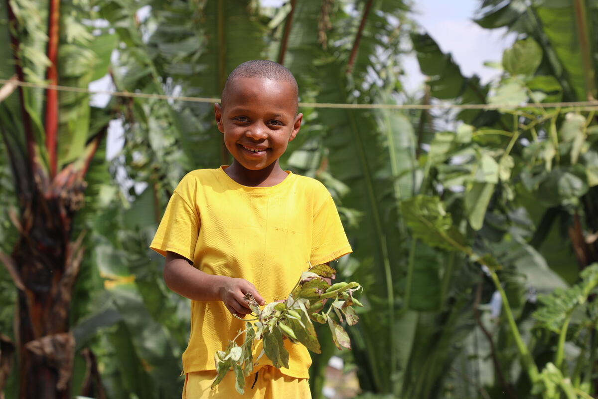 A young boy in a yellow shirt stands in a farm, he's smiling at the camera and has some plants in his hand