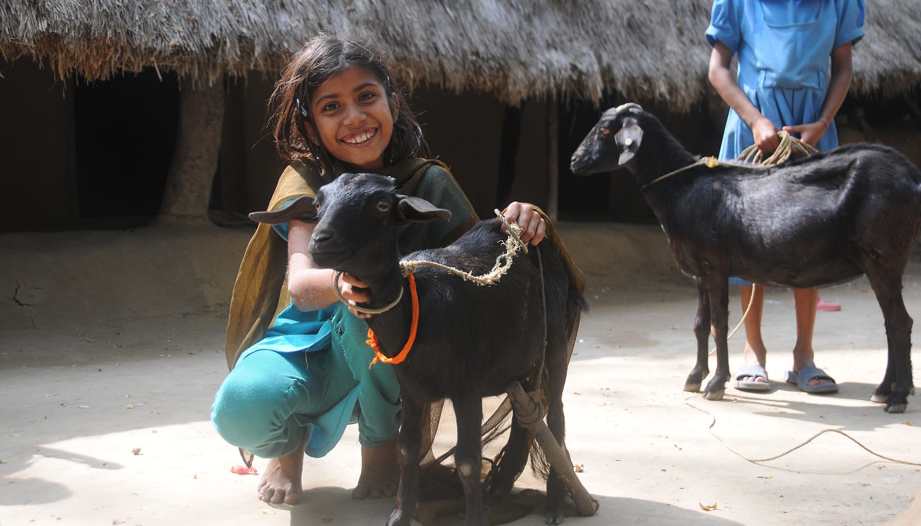Two children eat therapeutic food straight from the packet.