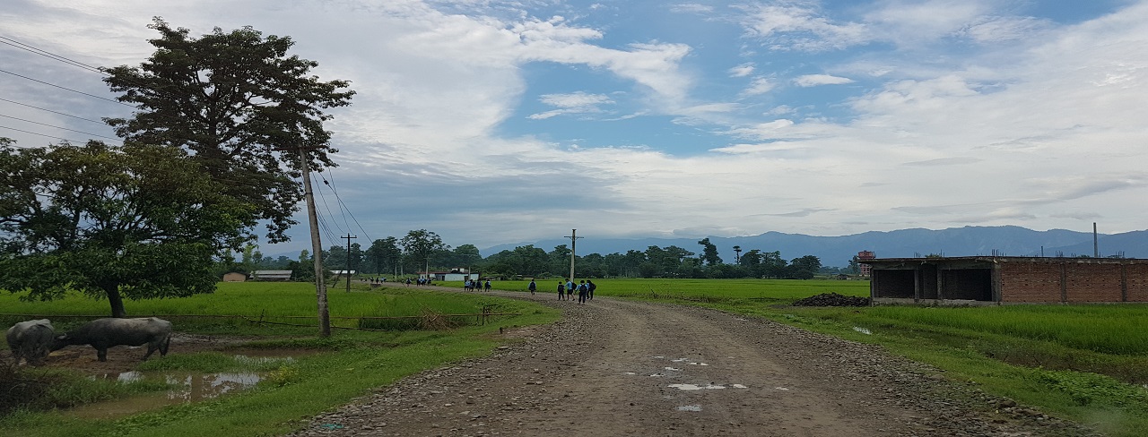 A group walk along a road in a rural landscape