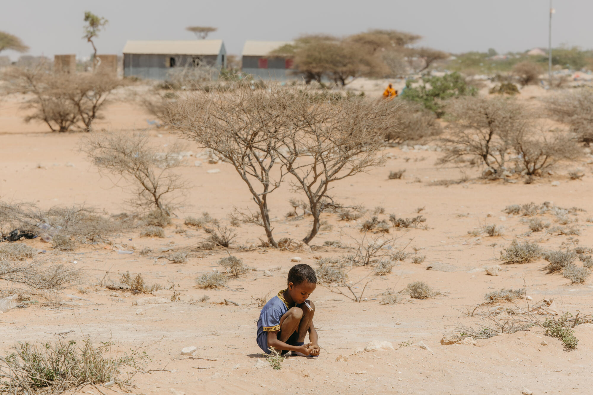 A child crouches on sandy ground surrounded by sparse shrubs and small trees in a dry, arid landscape