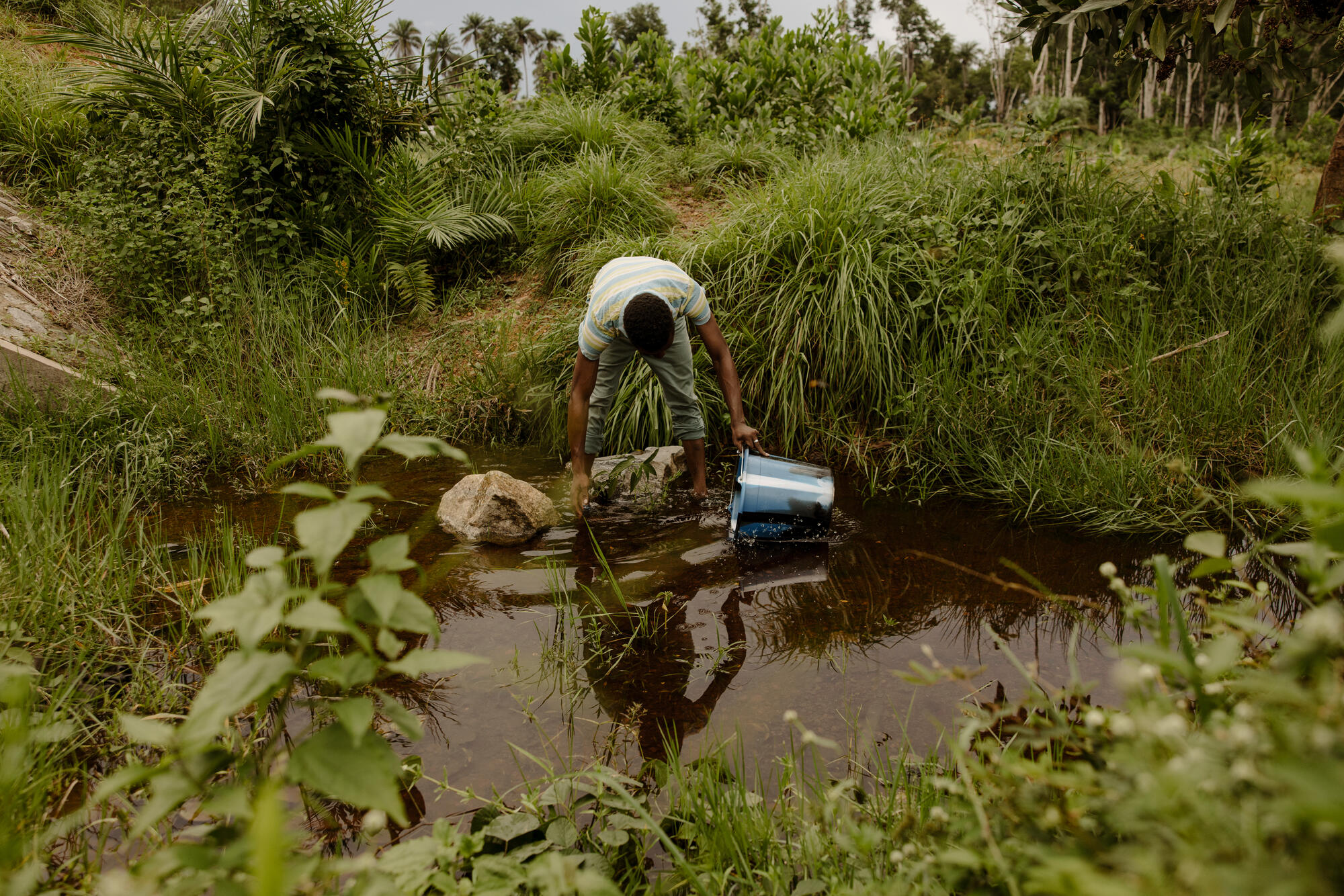 Mohamed bending down with a bucket to collect water from a pond, surrounded by undergrowth and vegetation.