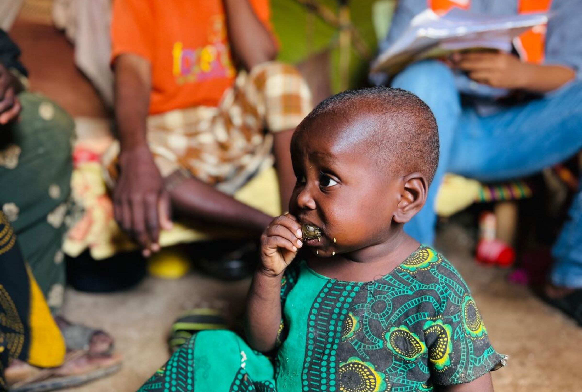 Somali child sat down eating wild fruits