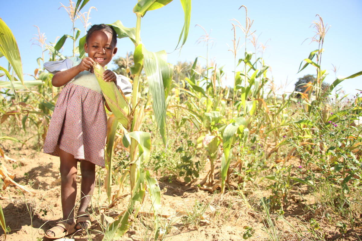 Zambian girl playing with corn in a field and smiling