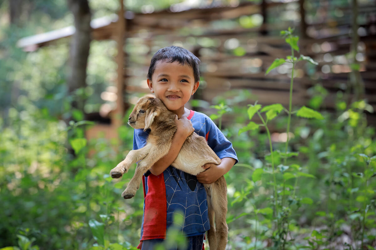 A young boy in Kenya strokes the goat gifted to his family