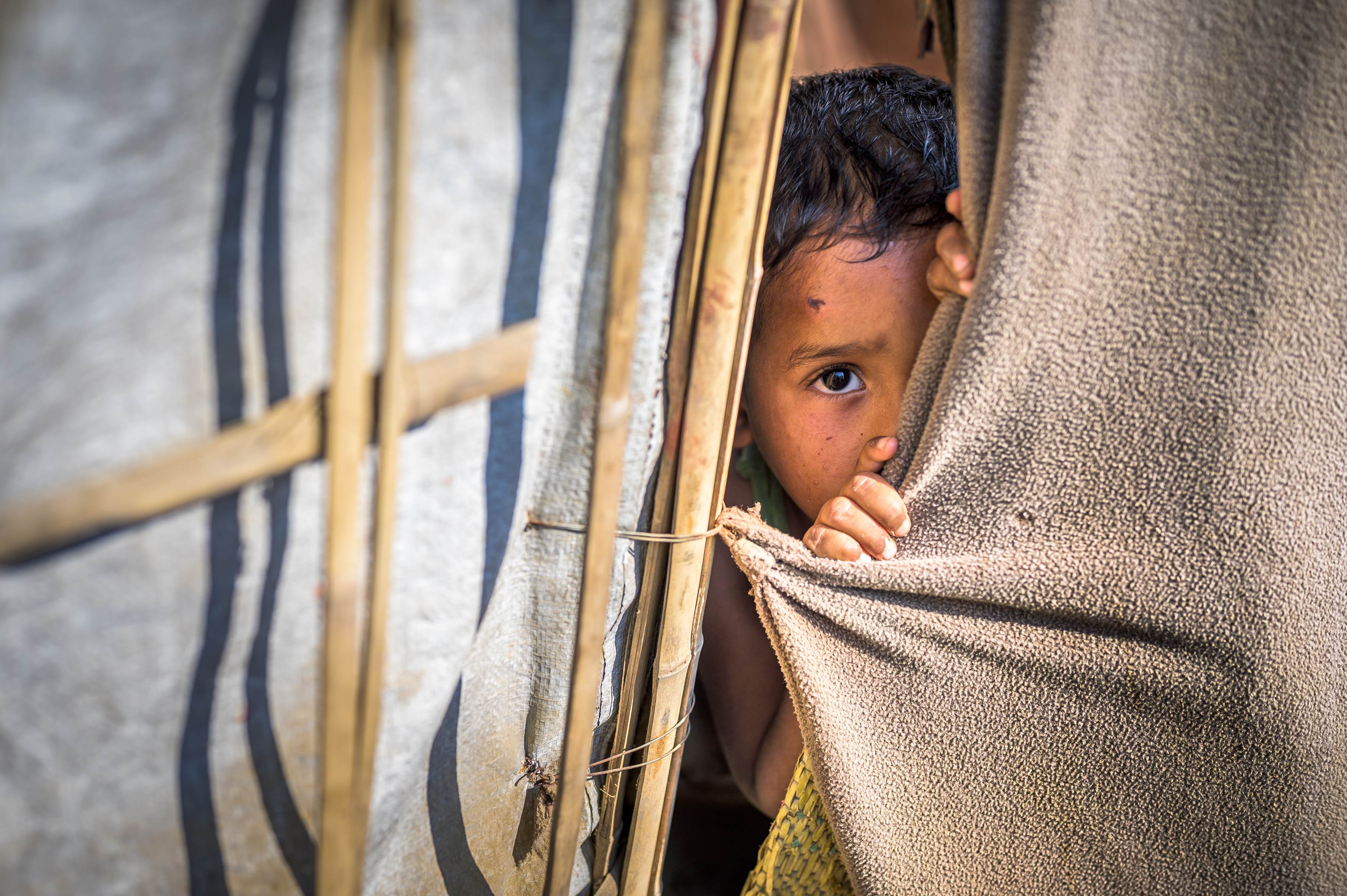 A boy peeks through a curtain on his shelter in Bangladesh