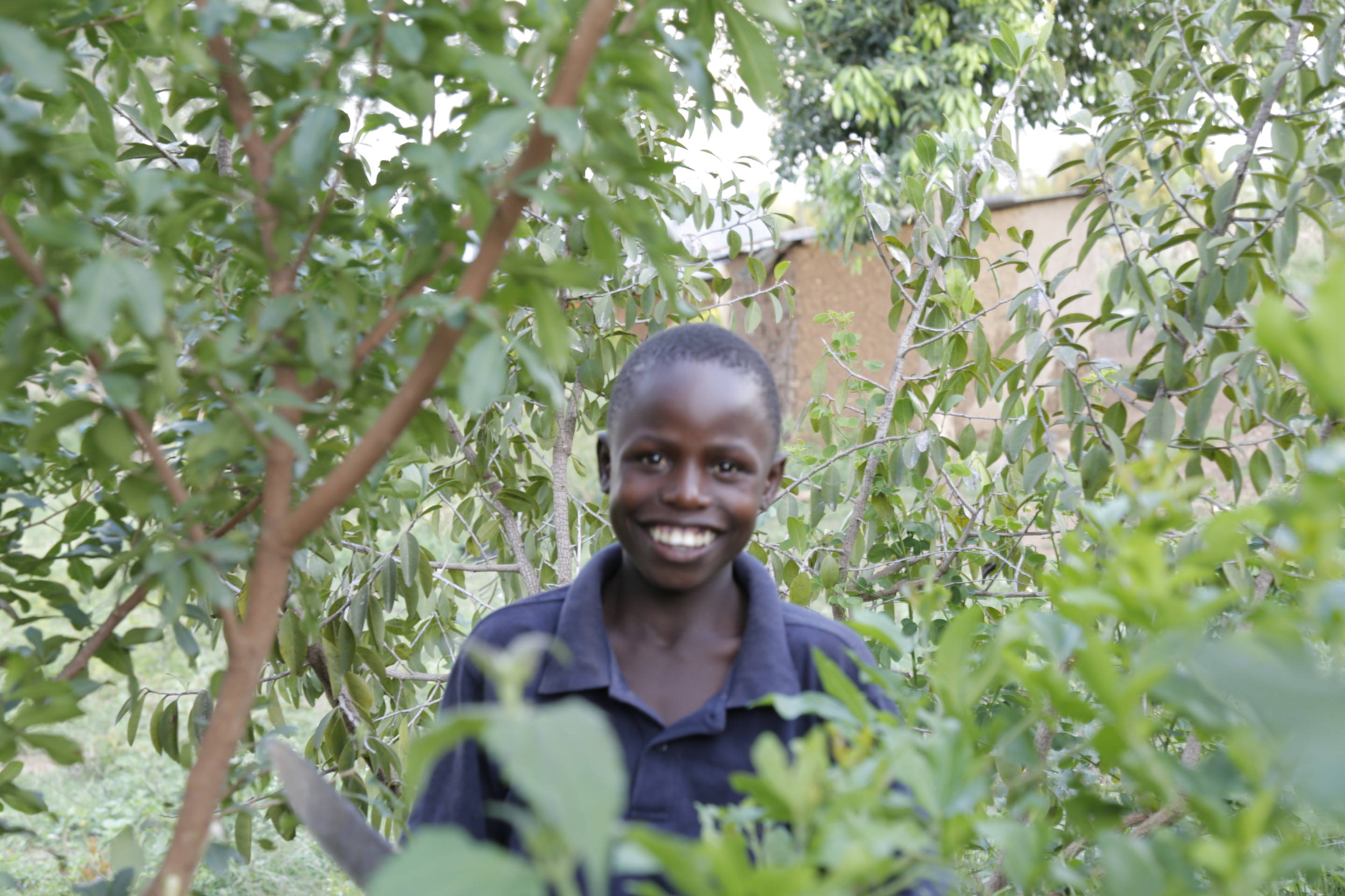  Boy pruning trees on farm in Kenya, helping climate change