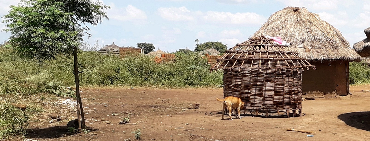 Livestock graze in front of straw dwellings