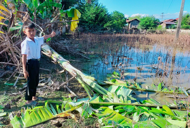 Young boy from Laos shows his flooded village and torn down trees due to tropical storm Noru