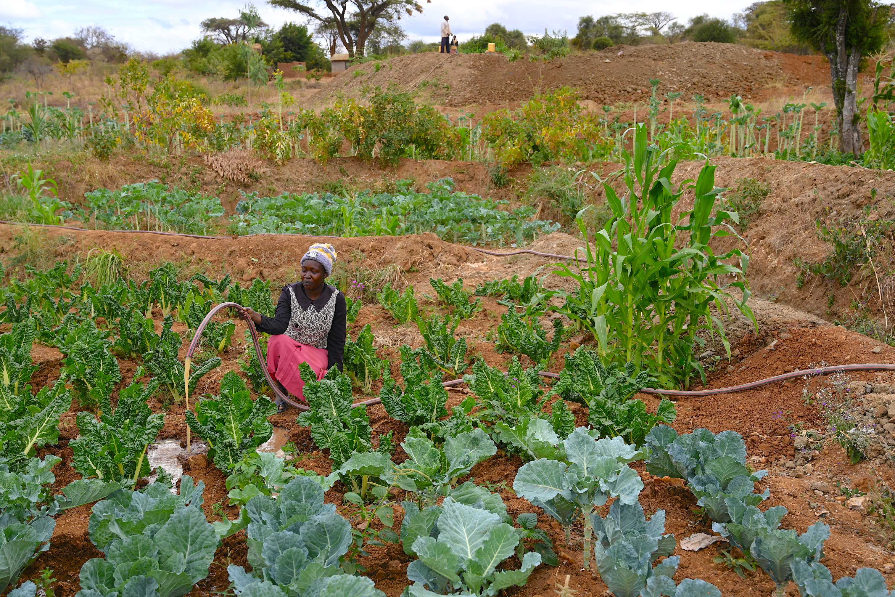 Jeniffer, irrigates vegetables and other crops in the family’s farm