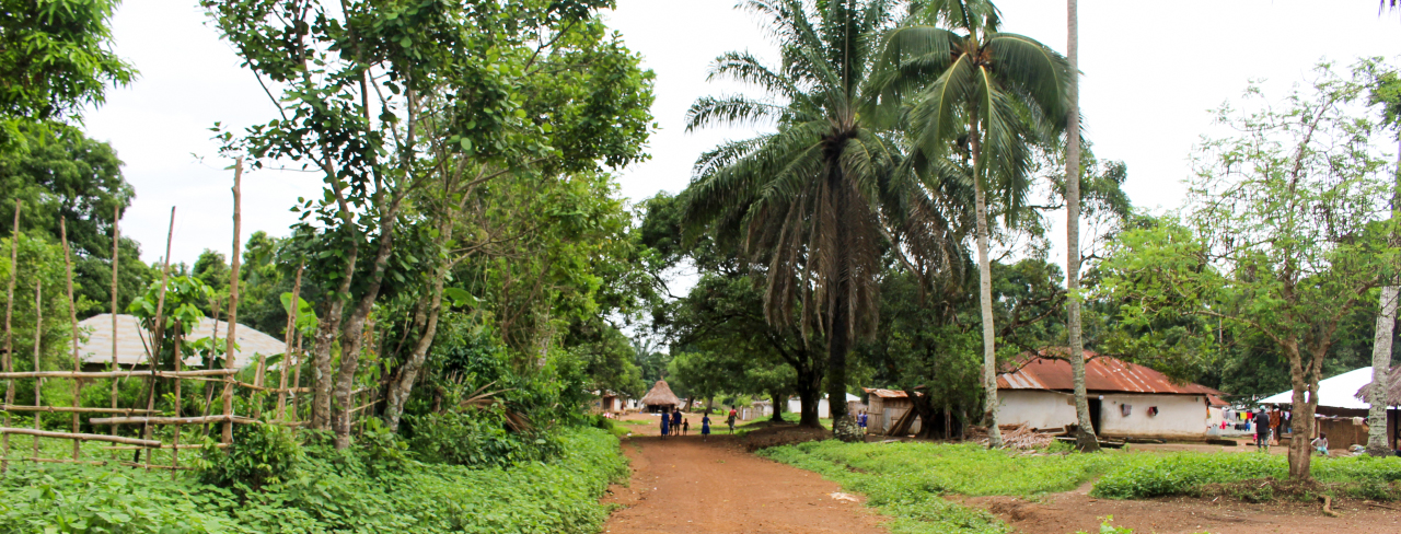 Rural village with a dirt road, thatched and metal-roof huts, and people walking among lush greenery