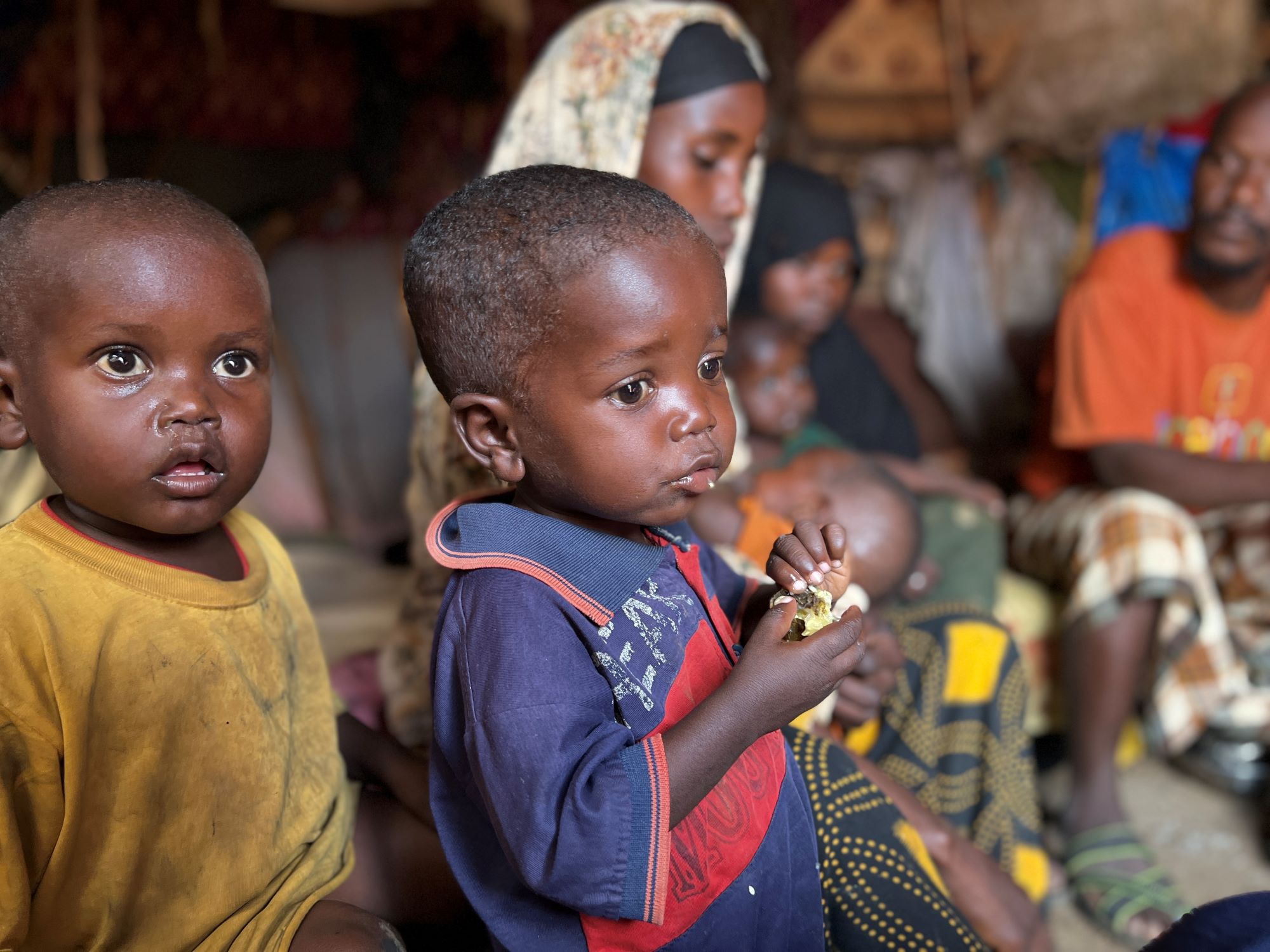 Somali children eating wild fruits in temporary shelter
