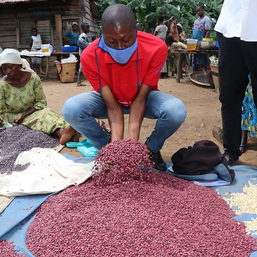 Man scooping red seeds