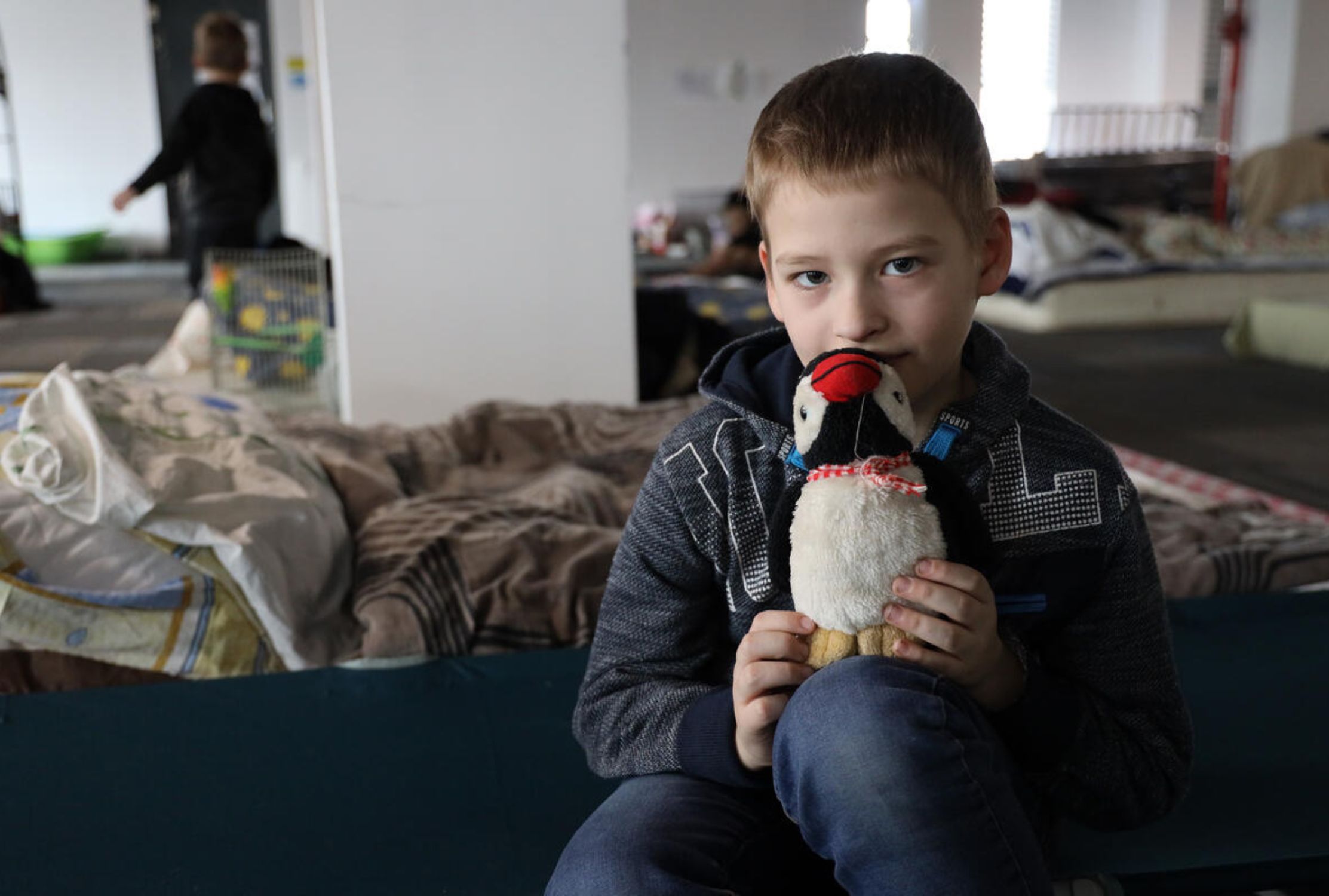 Refugee boy in Ukraine cuddles his fluffy toy penguin