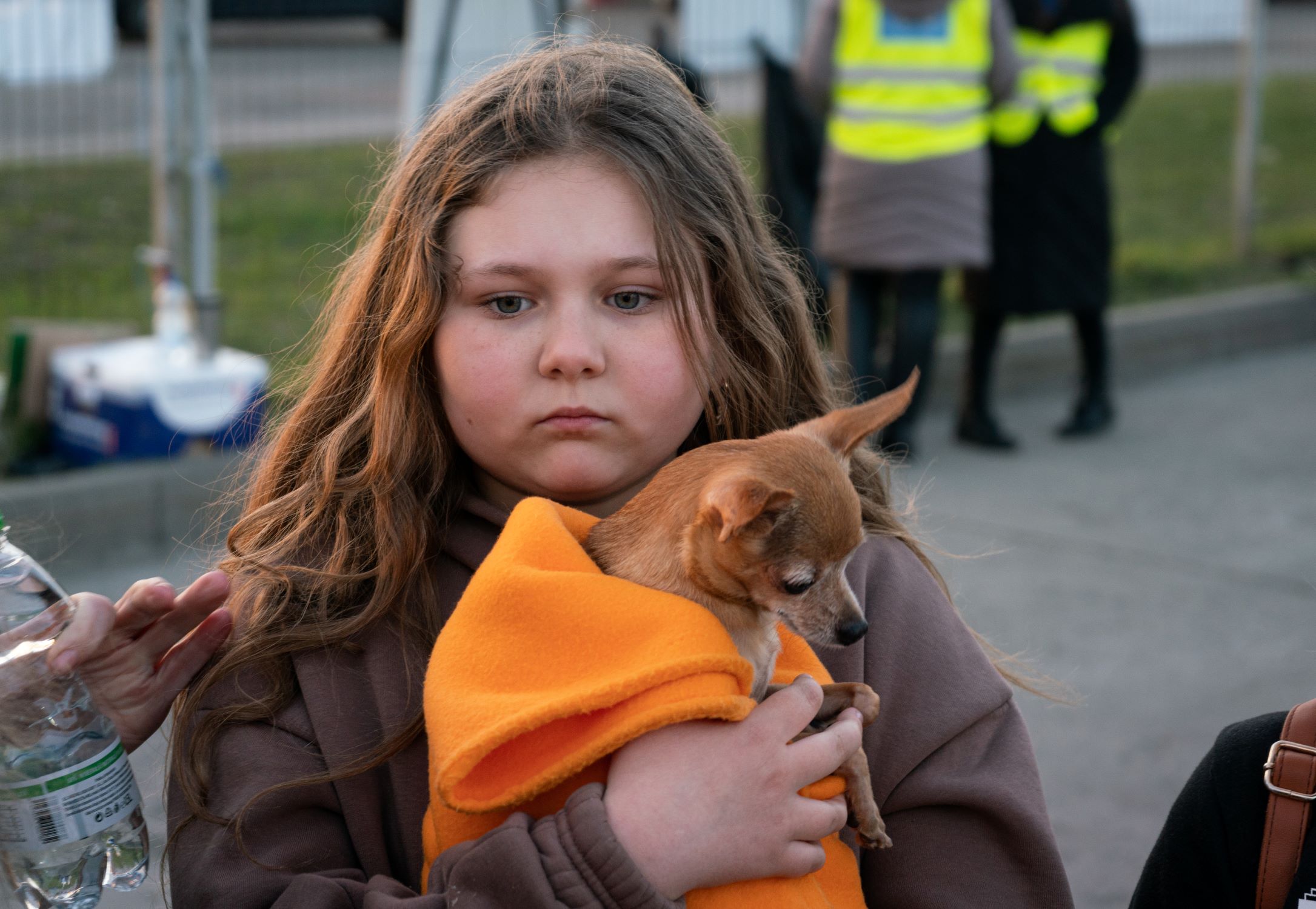 Polina and her dog fled Ukraine