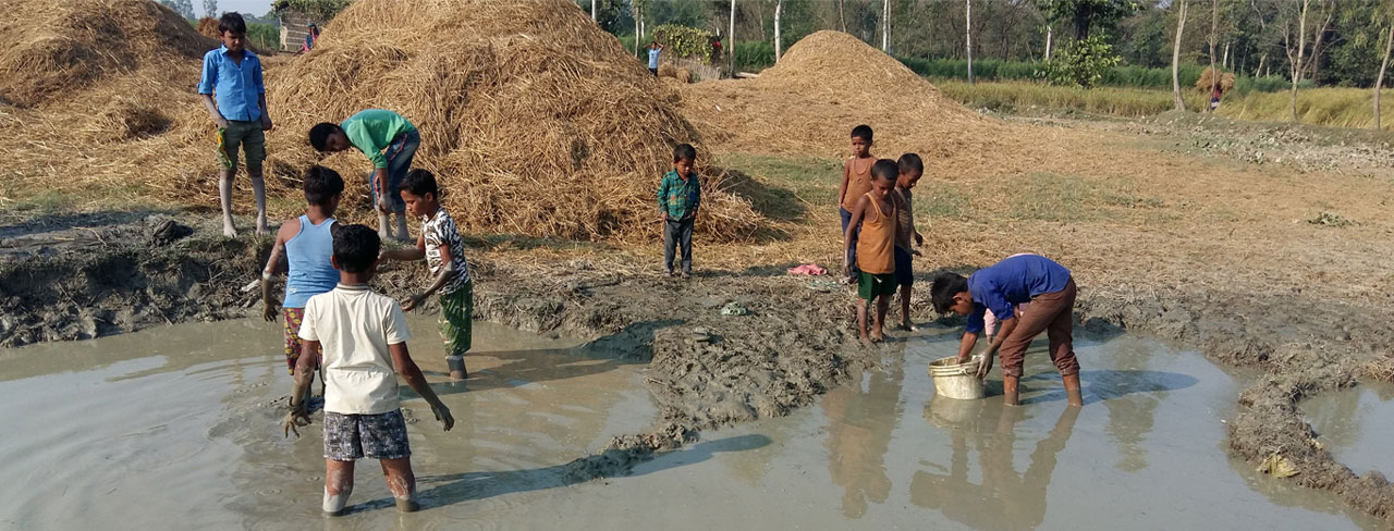 Children collect water from pond in Mahattari