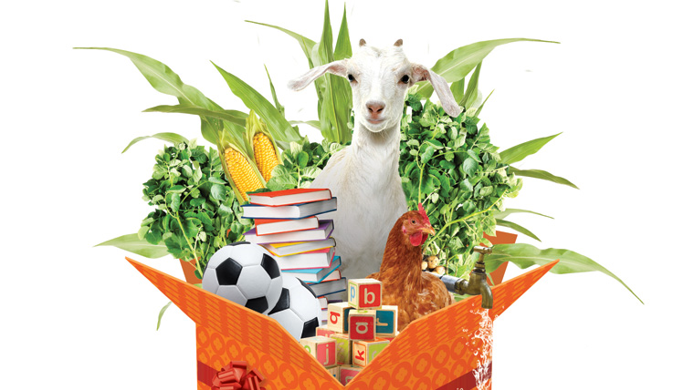 Image of box full of Must Have Gifts: football, goat, chicken, books, toys, vegetables